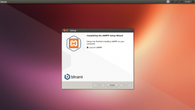 5 steps for Start running Xampp in Ubuntu 16