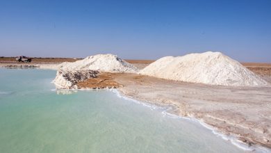 Salt Mine