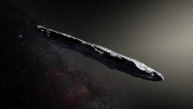 The Asteroid that killed the Dinosaurs